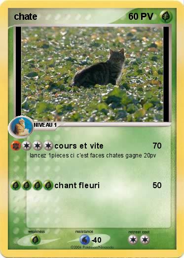 Pokemon chate