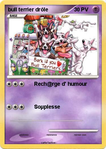 Pokemon bull terrier drôle