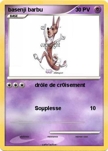 Pokemon basenji barbu