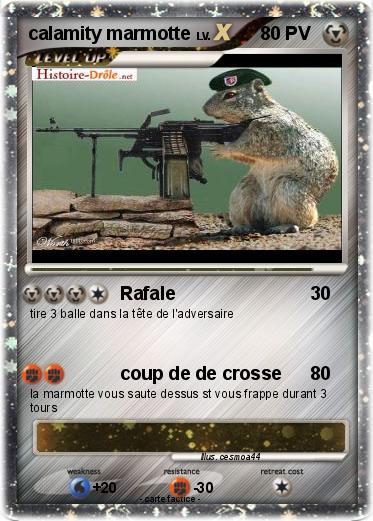 Pokemon calamity marmotte