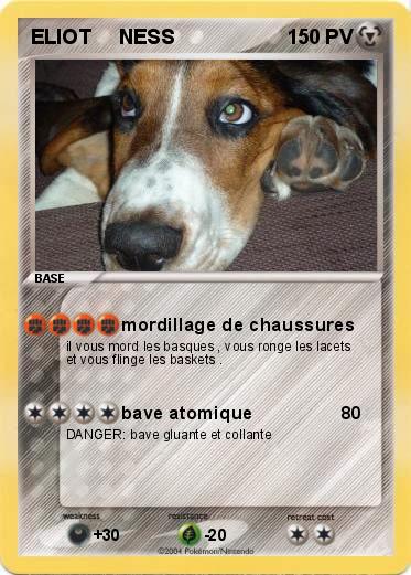 Pokemon ELIOT     NESS