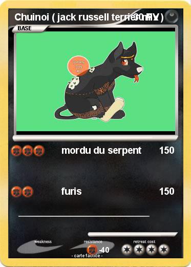 Pokemon Chuinoi ( jack russell terrier mix )