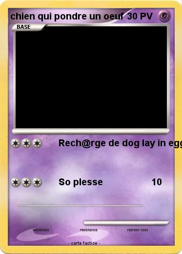 Pokemon chien qui pondre un oeuf