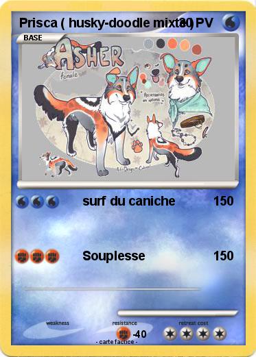 Pokemon Prisca ( husky-doodle mixte )