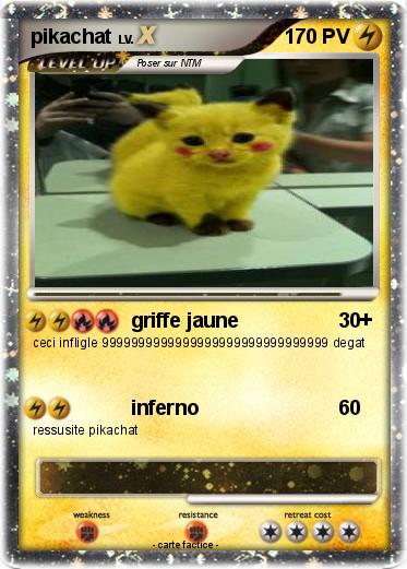 Pokemon pikachat