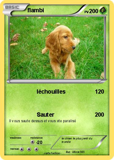 Pokemon flambi