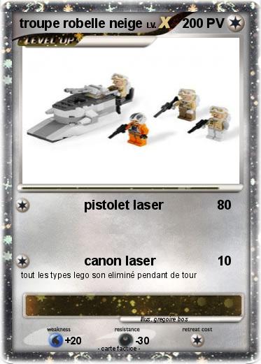 Pokemon troupe robelle neige