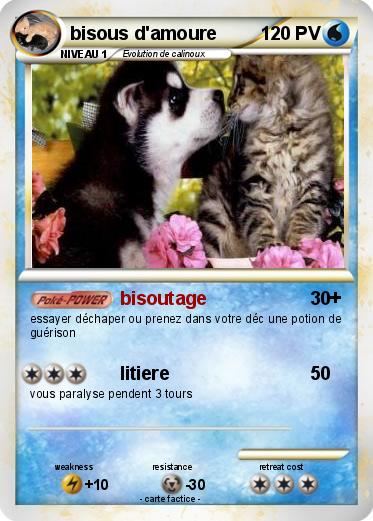 Pokemon bisous d'amoure