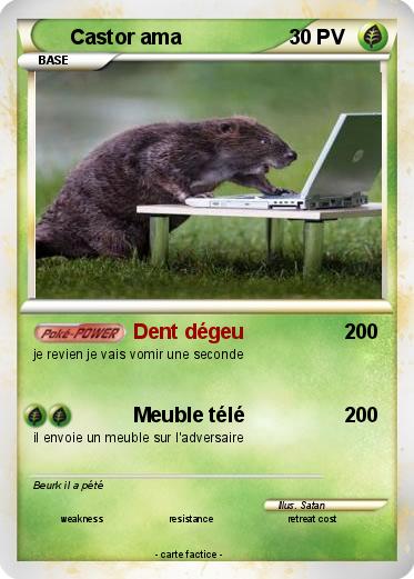 Pokemon Castor ama