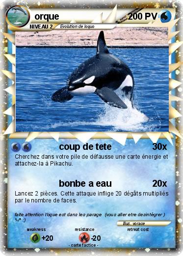 Pokemon orque
