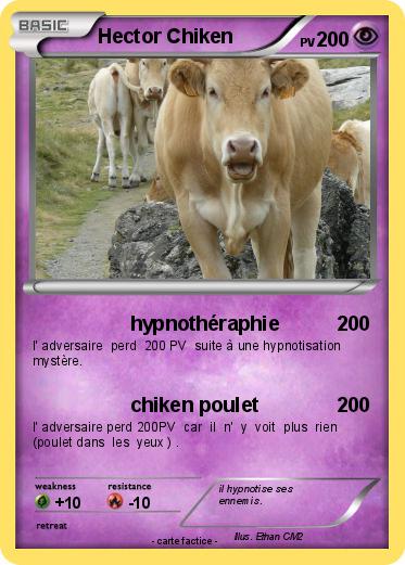 Pokemon Hector Chiken