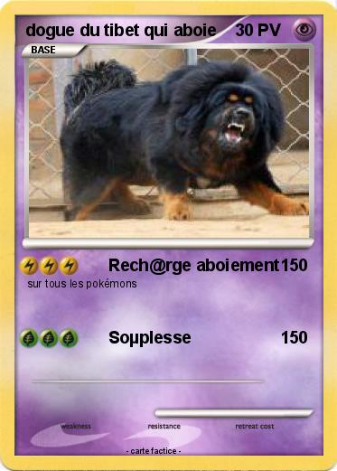 Pokemon dogue du tibet qui aboie