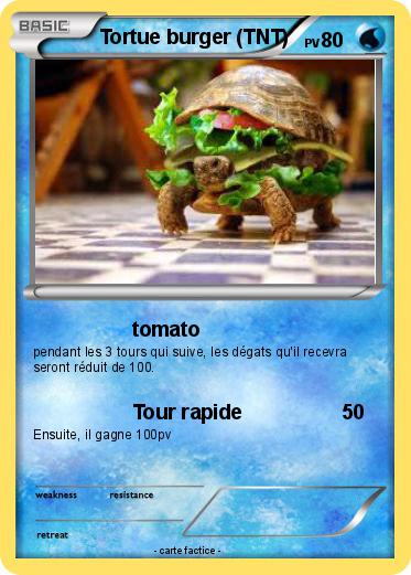 Pokemon Tortue burger (TNT)