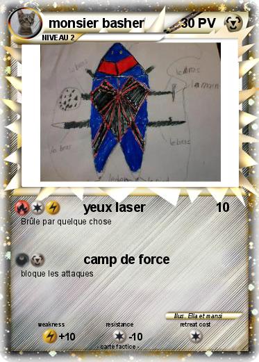Pokemon monsier basher