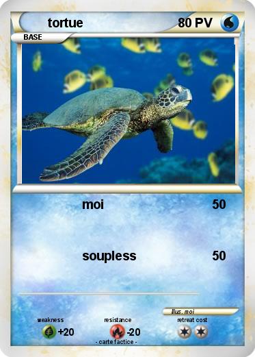 Pokemon tortue