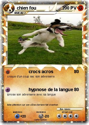 Pokemon chien fou