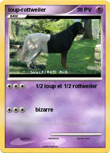 Pokemon loup-rottweiler