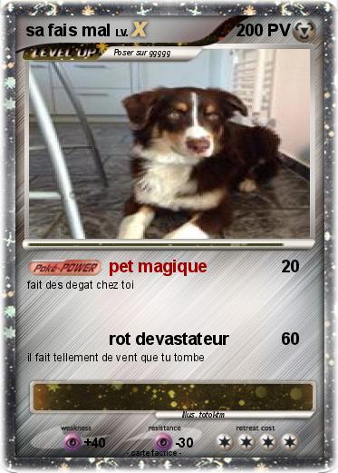 Pokemon sa fais mal