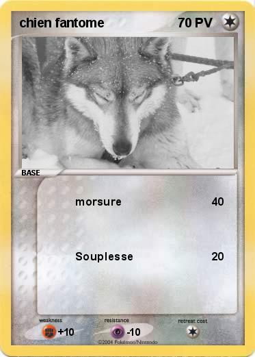 Pokemon chien fantome