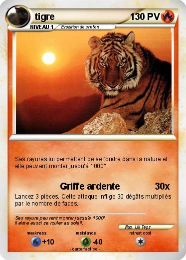 Pokemon tigre