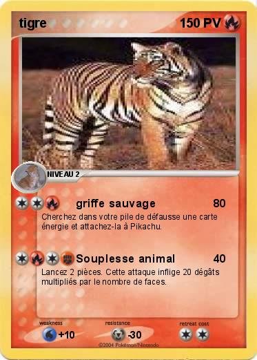 Pokemon tigre