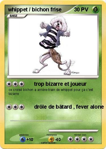 Pokemon whippet / bichon frise