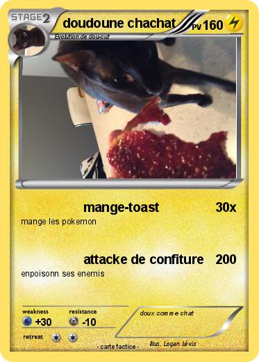 Pokemon doudoune chachat