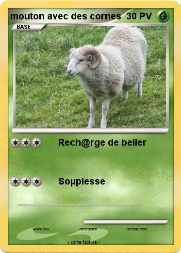 Pokemon mouton avec des cornes