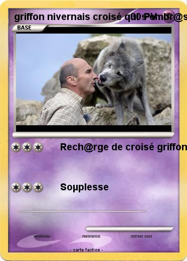 Pokemon griffon nivernais croisé qui s'embr@s