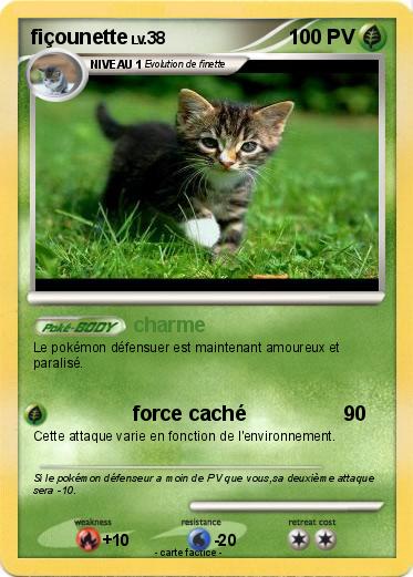 Pokemon fiçounette
