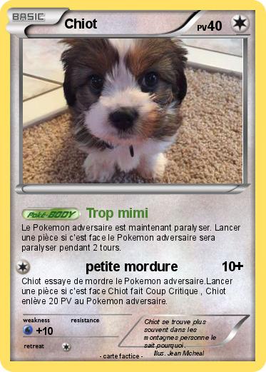 Pokemon Chiot