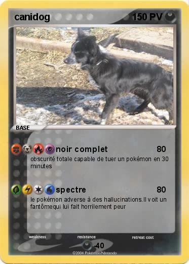 Pokemon canidog