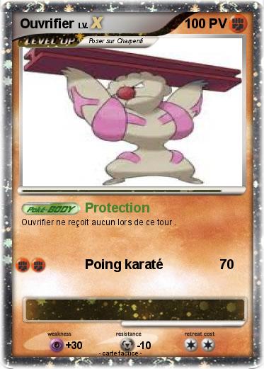 Pokemon Ouvrifier