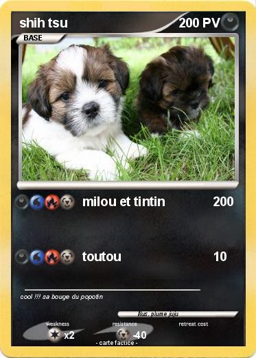 Pokemon shih tsu