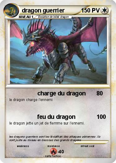 Pokemon dragon guerrier