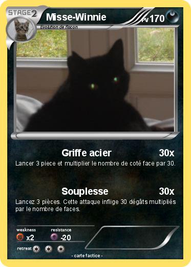 Pokemon Misse-Winnie