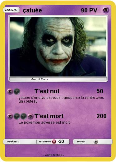 Pokemon çatuée