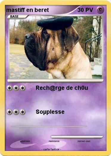 Pokemon mastiff en beret