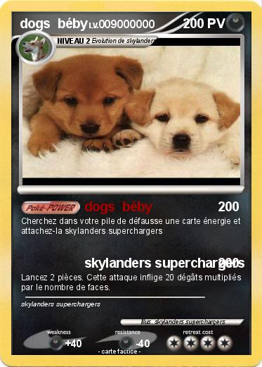 Pokemon dogs  béby