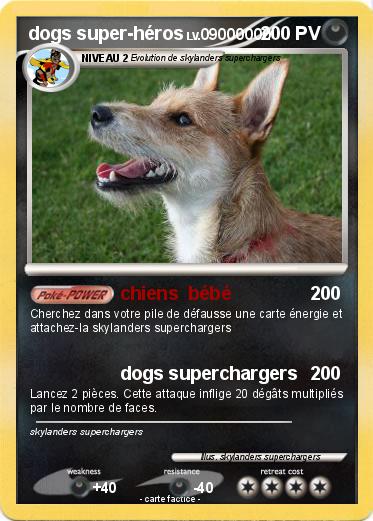 Pokemon dogs super-héros