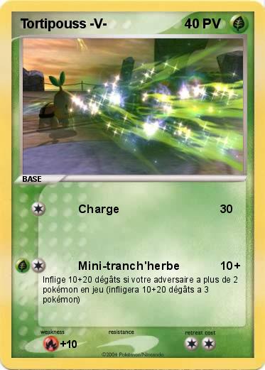 Pokemon Tortipouss -V-