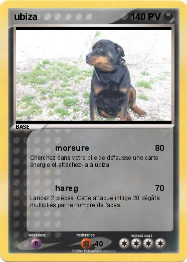 Pokemon ubiza                               
