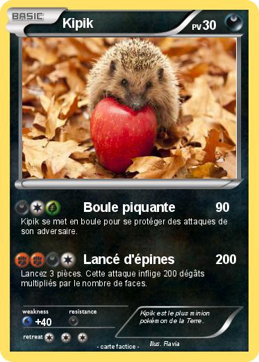 Pokemon Kipik