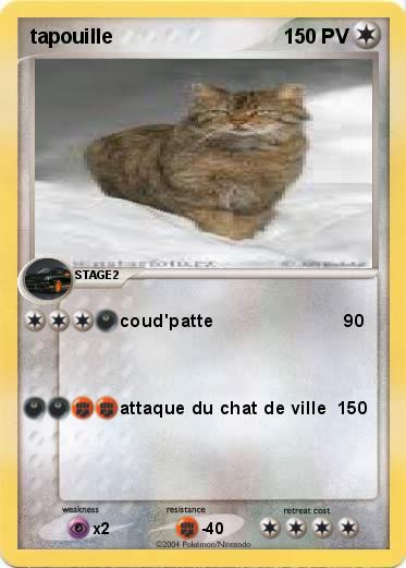 Pokemon tapouille