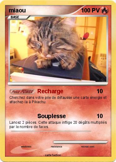 Pokemon miaou