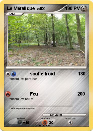 Pokemon Le Métalique