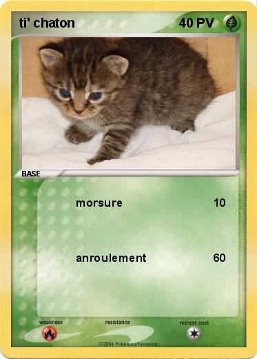 Pokemon ti' chaton