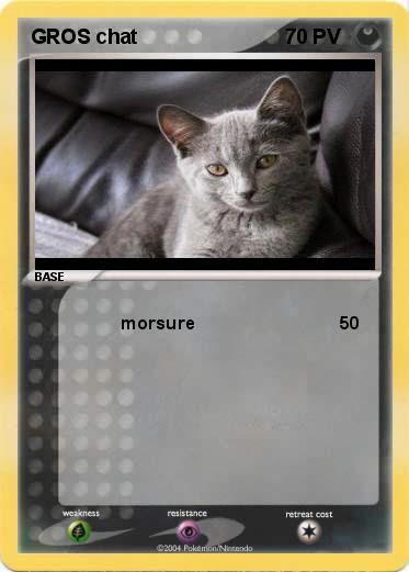 Pokemon GROS chat