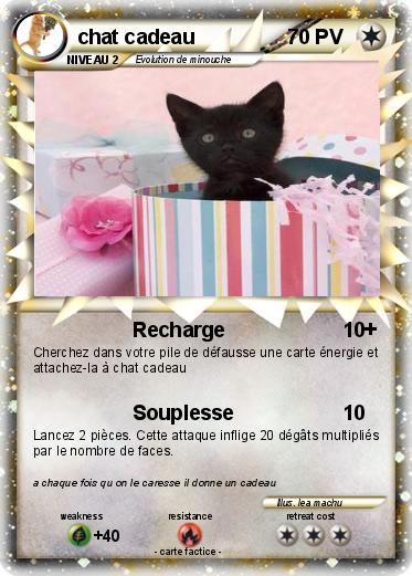 Pokemon chat cadeau