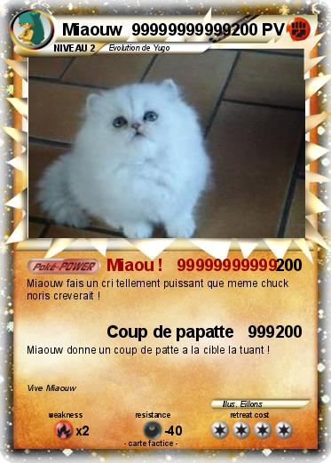 Pokemon Miaouw  99999999999